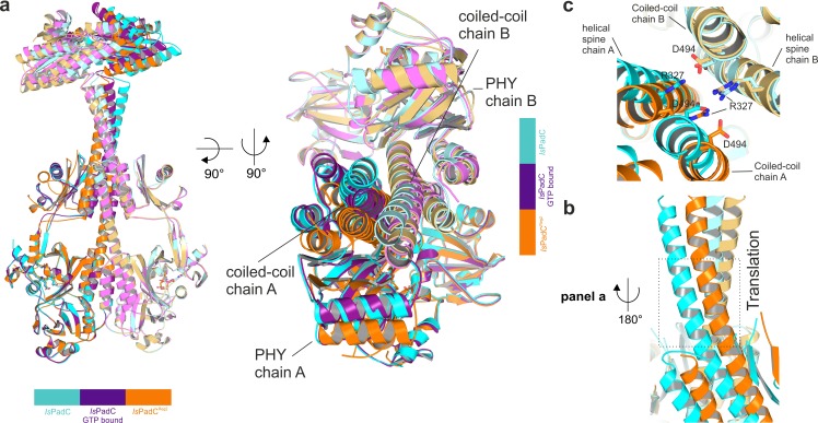 Figure 3—figure supplement 1.