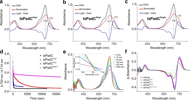 Figure 1—figure supplement 2.