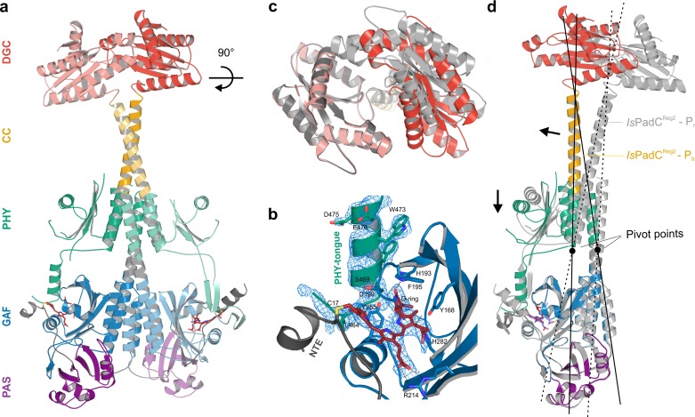 Figure 2.