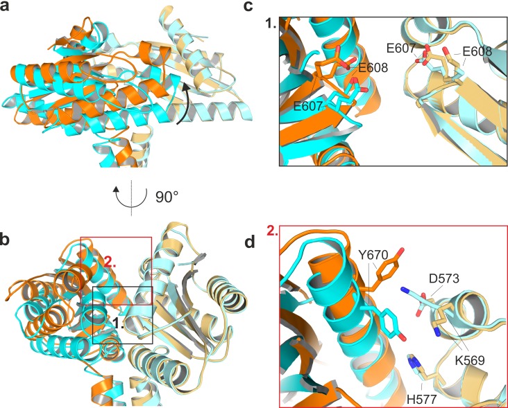 Figure 3—figure supplement 2.