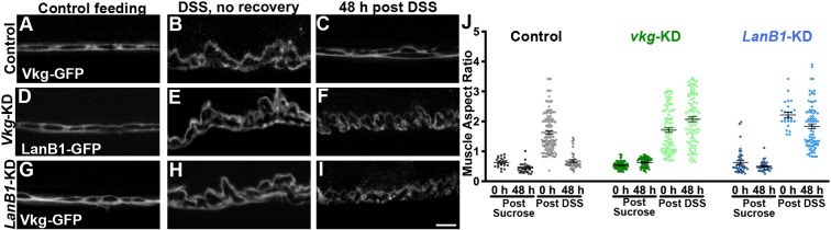 Fig. 8.