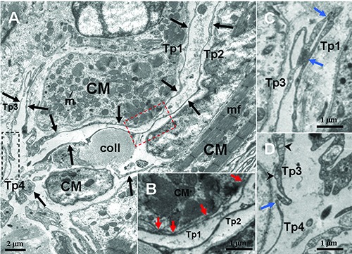 Figure 5.