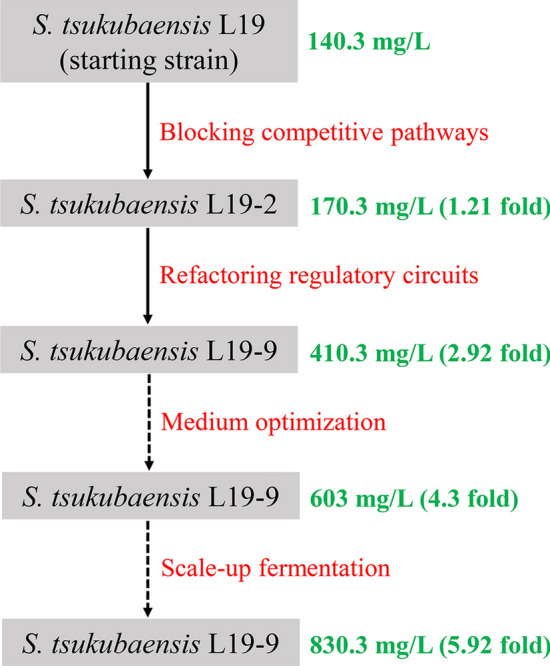 Fig. 8