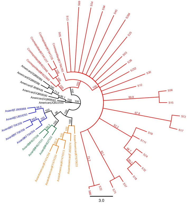 Figure 2