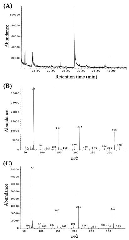 FIG. 3