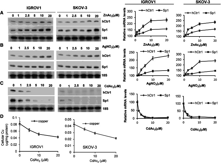 Fig. 6