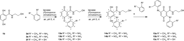 Scheme 9