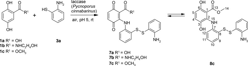 Scheme 4