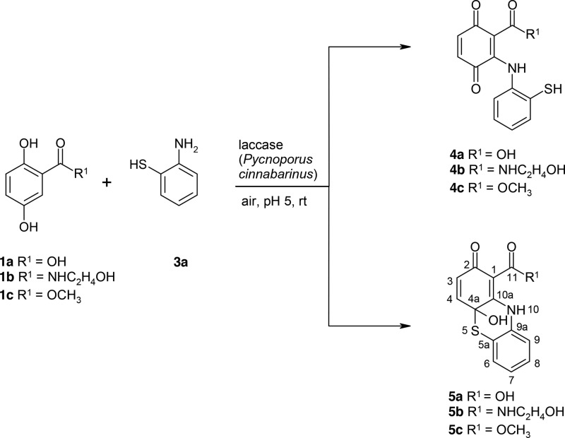 Scheme 2