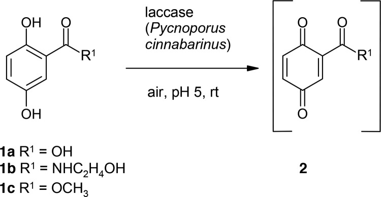 Scheme 1