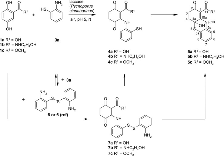 Scheme 5