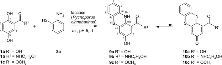 Scheme 6