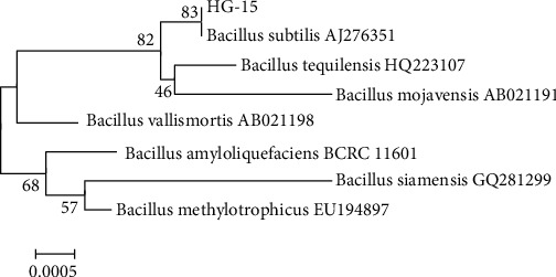 Figure 1