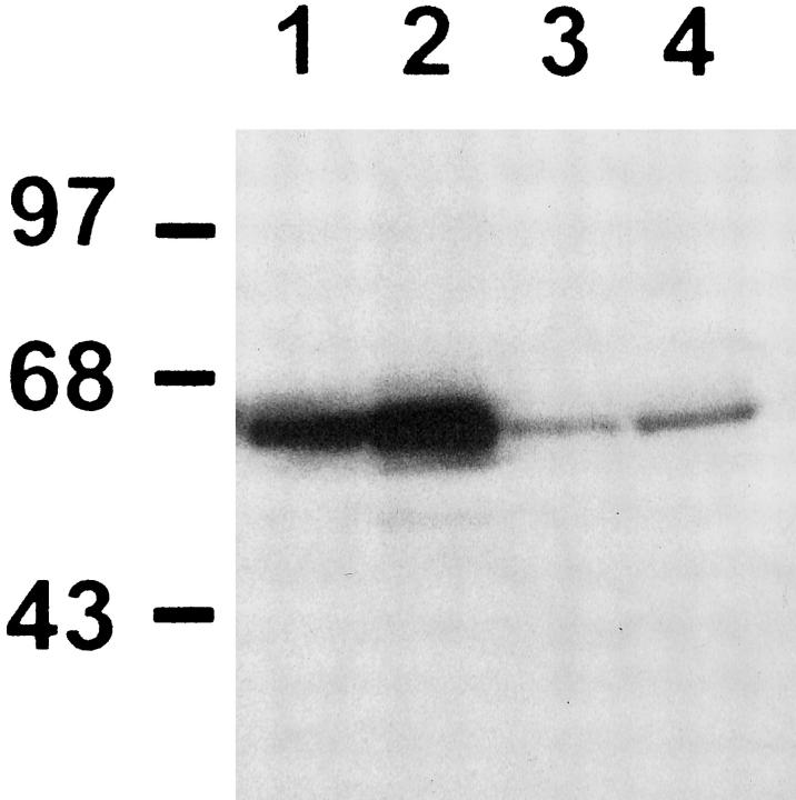 Figure 10.