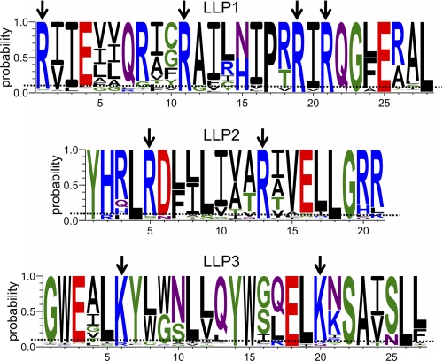 FIGURE 6.