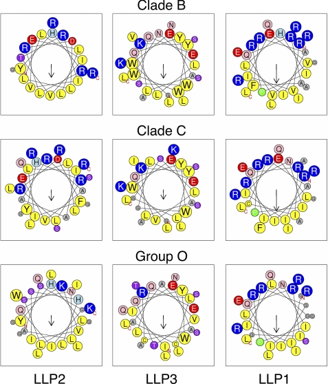 FIGURE 5.