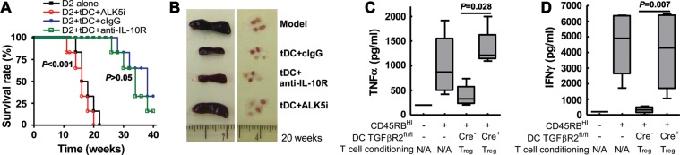 Figure 7