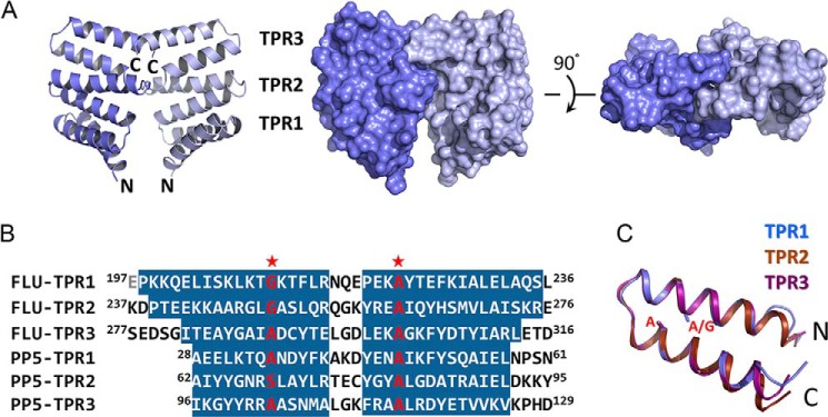 FIGURE 1.