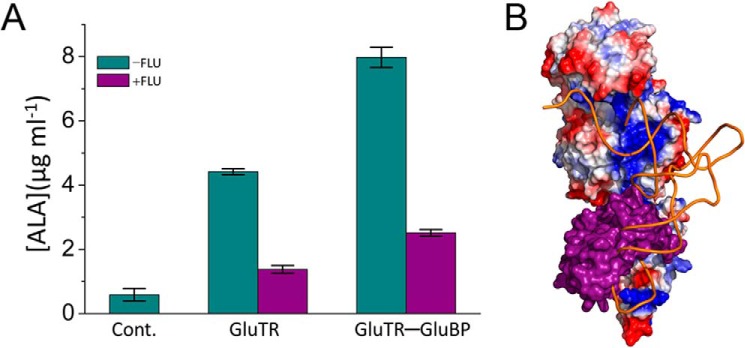 FIGURE 7.