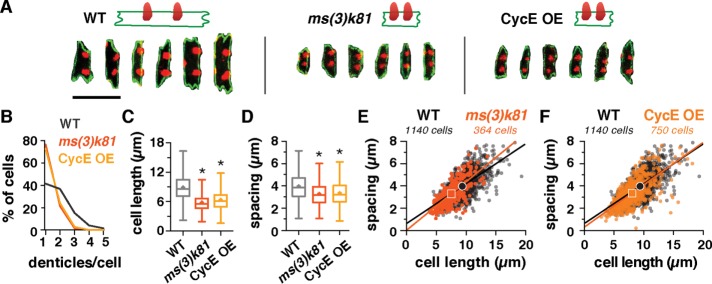 FIGURE 3: