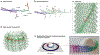 Fig. 2 |