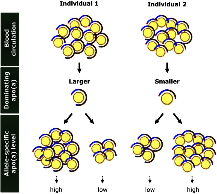 Fig. 3.