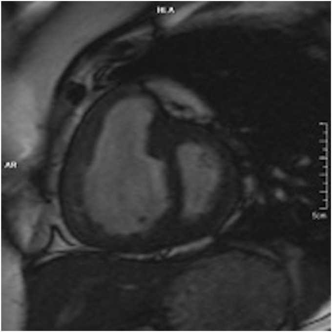 Fig. 3.