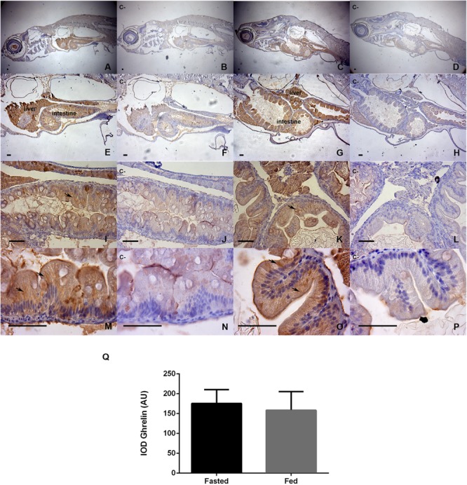 FIGURE 3