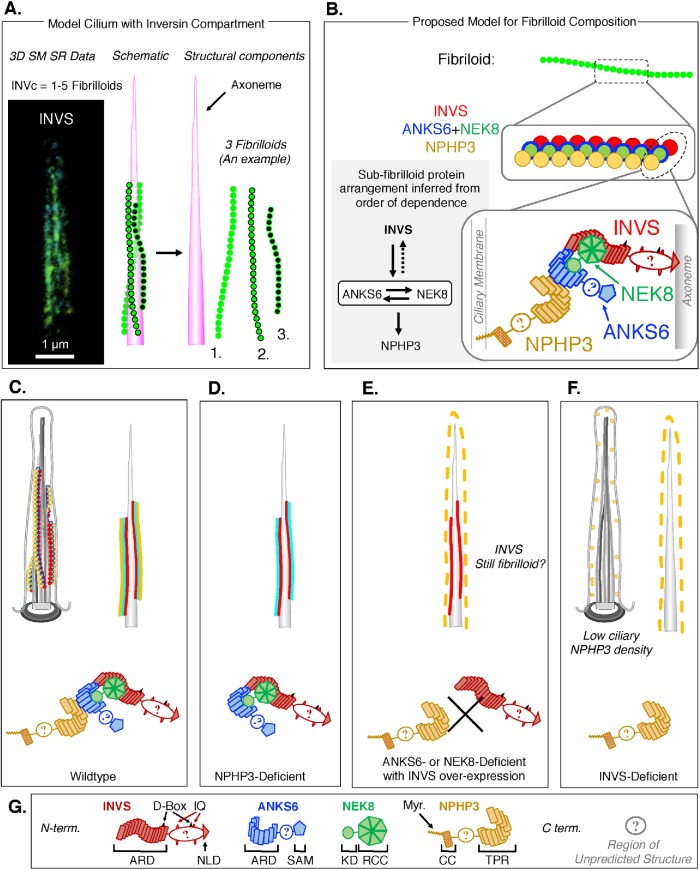 FIGURE 6: