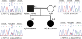Figure 1—figure supplement 1.