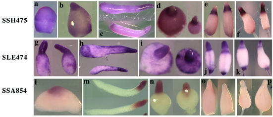 FIG. 5.