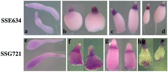 FIG. 6.