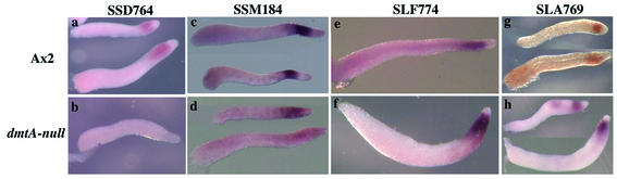 FIG. 8.