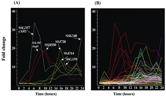 FIG. 7.