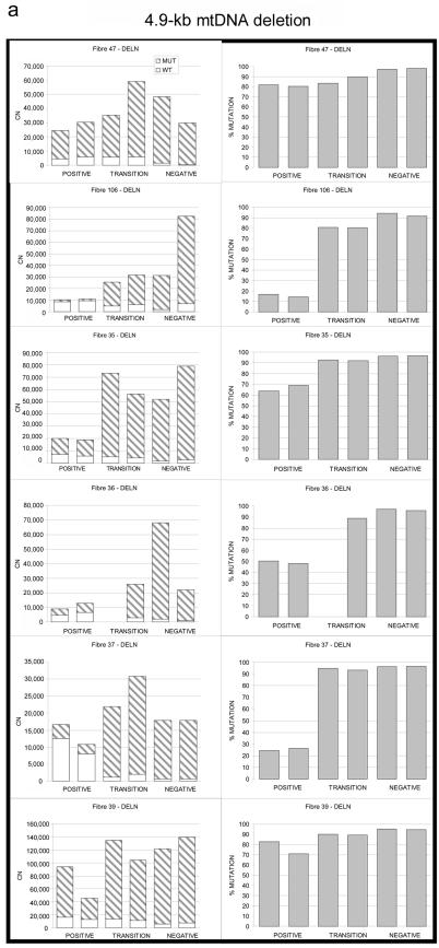 Figure  2. 