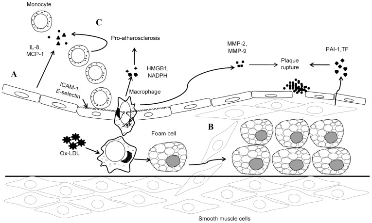 Figure 1.