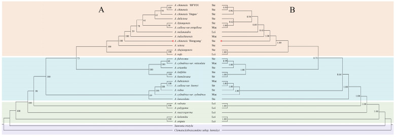 Figure 7