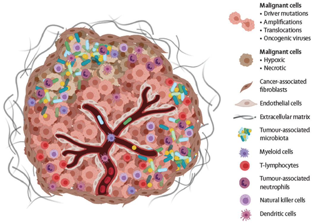 Figure 1: