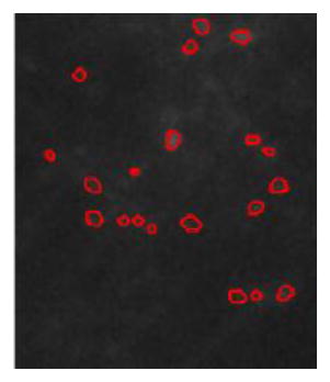 graphic file with name nihms394125u2.jpg