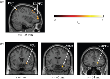 Figure 3.