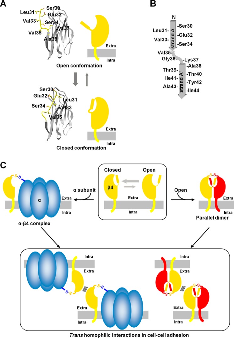 Figure 7.