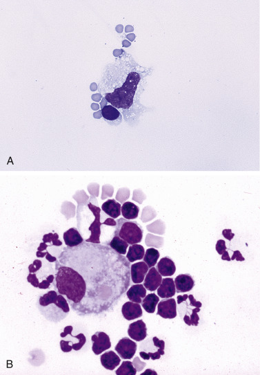 Figure 6-7