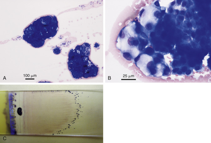 Figure 6-35