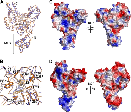 FIGURE 2.