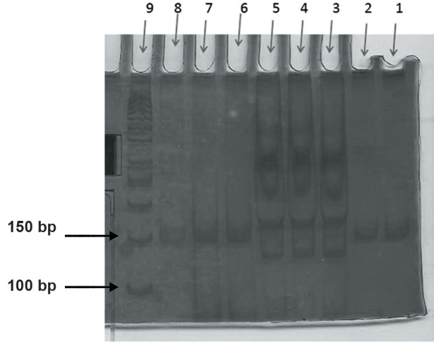 Fig.3