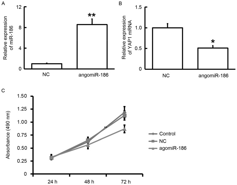 Figure 5.