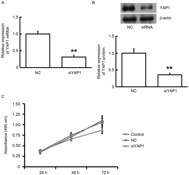 Figure 6.