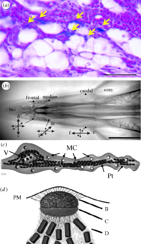 Figure 1.