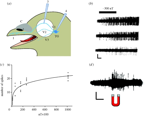 Figure 2.