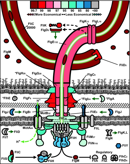 FIG 2 